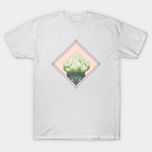 Succulent Plant Haworthia Lockwoodii Succulent in a Rectangle Frame T-Shirt